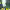 https://res.cloudinary.com/billionhands/image/upload/v1781275487/items/swqwvkqv0ye0lal1x9ff.jpg-3cover