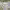 https://res.cloudinary.com/billionhands/image/upload/v1781275707/items/vc0ipk1npcdq82mslpou.jpg-2cover