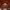 https://res.cloudinary.com/billionhands/image/upload/v1781275825/items/xikqkymjx5armu6j1foa.webp-2cover