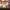 https://res.cloudinary.com/billionhands/image/upload/v1781276401/items/vosatlbms1cbgwo0jh3v.jpg-2cover