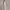 https://res.cloudinary.com/billionhands/image/upload/v1781276576/items/wzofduxwnfgsu311snb7.webp-1cover