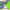 https://res.cloudinary.com/billionhands/image/upload/v1781278817/items/qll3yocbotsdultfgxpx.jpg-0cover