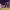 https://res.cloudinary.com/billionhands/image/upload/v1781278905/items/yqmevngntcdwfdtkkwcg.jpg-2cover