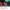 https://res.cloudinary.com/billionhands/image/upload/v1781279482/items/gyxn4rrt1w3bu7rwjr15.jpg-2cover