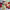 https://res.cloudinary.com/billionhands/image/upload/v1781279627/items/bnz2fh2pzicbluqkyjix.jpg-2cover