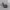 https://res.cloudinary.com/billionhands/image/upload/v1781280096/items/bmjndbqvylsbuadsdt3z.jpg-2cover