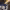 https://res.cloudinary.com/billionhands/image/upload/v1781280583/items/rbxaerrc9dlhvyx73jg9.jpg-0cover