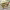 https://res.cloudinary.com/billionhands/image/upload/v1781281059/items/jhadrdkkiapp2hlnsmop.webp-2cover