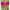 https://res.cloudinary.com/billionhands/image/upload/v1781281807/items/tvx7qqxfz46qdvkl94ia.png-3cover