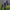 https://res.cloudinary.com/billionhands/image/upload/v1781282554/items/xeogqhiqbxvizbw68aas.jpg-3cover