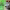 https://res.cloudinary.com/billionhands/image/upload/v1781283967/items/dptu4pr6jnbdmywyt9ff.jpg-1cover