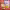 https://res.cloudinary.com/billionhands/image/upload/v1781285609/items/tnsjvzqpyielqfexshxh.webp-2cover