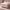 https://res.cloudinary.com/billionhands/image/upload/v1781285878/items/dnf5dffsmsh4eig5fsrm.webp-2cover