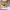 https://res.cloudinary.com/billionhands/image/upload/v1781286782/items/mjo0ijpx3a9j1dzr5kuh.webp-0cover