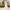 https://res.cloudinary.com/billionhands/image/upload/v1781286931/items/ym4yrb9kvdoluusvax9v.webp-1cover
