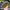 https://res.cloudinary.com/billionhands/image/upload/v1781289111/items/s4jpk1xxtqer0kpkify2.jpg-3cover