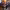 https://res.cloudinary.com/billionhands/image/upload/v1781289879/items/i34ue0cf0ifxpa8qndgt.jpg-2cover