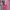 https://res.cloudinary.com/billionhands/image/upload/v1781289880/items/on1r66lirdm1vsgqdtcd.jpg-3cover