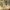 https://res.cloudinary.com/billionhands/image/upload/v1781291279/items/b81mo73twoxmkswjzgzo.jpg-1cover