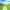 https://res.cloudinary.com/billionhands/image/upload/v1781292365/items/plt5jb2cgmkovtz29fl3.jpg-0cover