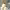 https://res.cloudinary.com/billionhands/image/upload/v1781292400/items/ukh8fjo2wh3dxnq9olqf.webp-3cover