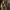 https://res.cloudinary.com/billionhands/image/upload/v1781292598/items/crqdlsigv2fpvdin5fks.jpg-3cover