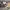 https://res.cloudinary.com/billionhands/image/upload/v1781293209/items/wb7jlsngjoaok9vrqcpu.jpg-2cover