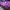 https://res.cloudinary.com/billionhands/image/upload/v1781293642/items/mgvjvj90ounrnxz5qal4.jpg-0cover