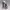https://res.cloudinary.com/billionhands/image/upload/v1781294464/items/x32cs5pxbqttk83ntaxy.webp-3cover