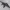 https://res.cloudinary.com/billionhands/image/upload/v1781294814/items/tt9mwxfe1vlmekk4cqvq.jpg-0cover