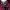 https://res.cloudinary.com/billionhands/image/upload/v1781295088/items/thagdlcfydemdg1a5wia.webp-0cover