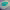 https://res.cloudinary.com/billionhands/image/upload/v1781295471/items/dipfuvxitfbsfky0amjj.jpg-3cover