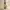 https://res.cloudinary.com/billionhands/image/upload/v1781296276/items/ugh4lkttsm8qzsnpf1hl.webp-2cover