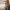 https://res.cloudinary.com/billionhands/image/upload/v1781296352/items/ifke7blzpxdblfjs8zx6.webp-3cover