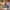 https://res.cloudinary.com/billionhands/image/upload/v1781296389/items/gvr4v0moxrzivk8wohzv.jpg-0cover