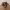 https://res.cloudinary.com/billionhands/image/upload/v1781296444/items/zzqczm3eak8q1erf3wkq.jpg-0cover