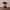 https://res.cloudinary.com/billionhands/image/upload/v1781296446/items/tnjqpmjwdqjd4srrtqwf.jpg-2cover