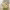 Mar-Flor Floristes cover