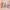 https://res.cloudinary.com/billionhands/image/upload/v1781296461/items/ajfxb2behrvh1q3fozch.webp-2cover