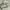 https://res.cloudinary.com/billionhands/image/upload/v1781296736/items/g32cg8xpbsmcm4hmgf65.webp-0cover