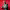 https://res.cloudinary.com/billionhands/image/upload/v1781296886/items/uubg4virpjrrwkpsxvej.png-0cover