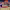 Basket Swooshes cover