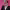 https://res.cloudinary.com/billionhands/image/upload/v1781299505/items/evrjszvi2beuaeqxqmv6.webp-3cover