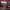 https://res.cloudinary.com/billionhands/image/upload/v1781299954/items/kfoiy6df9ahw6jycykp8.webp-2cover