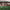 https://res.cloudinary.com/billionhands/image/upload/v1781299969/items/gpluioahyfnlmc1lc3py.webp-3cover