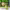 https://res.cloudinary.com/billionhands/image/upload/v1781300563/items/r2fsgri5piz5tcxvzhzn.webp-0cover