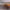 https://res.cloudinary.com/billionhands/image/upload/v1781302144/items/jvvz1wyk5hw9gkmkanba.webp-2cover