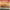 https://res.cloudinary.com/billionhands/image/upload/v1781302263/items/zq0nds2dudop15x1ecz6.jpg-0cover