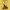 Gracias y desgracias del ojo del culo cover