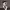 Rauw Alejandro Tour Spain 2026 cover